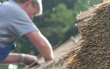 professional Jurston thatchers