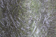 Jurston fibreglass roof work